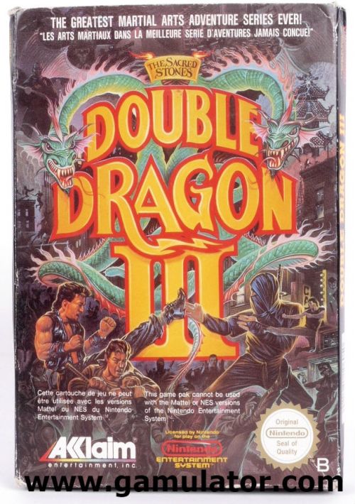 Double Dragon III - The Sacred Stones