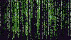 MATRIX EFFECT