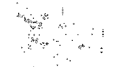 CONWAY'S GAME OF LIFE