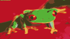 FROG