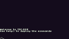 TIC-DOS
